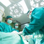 organs for transplant
