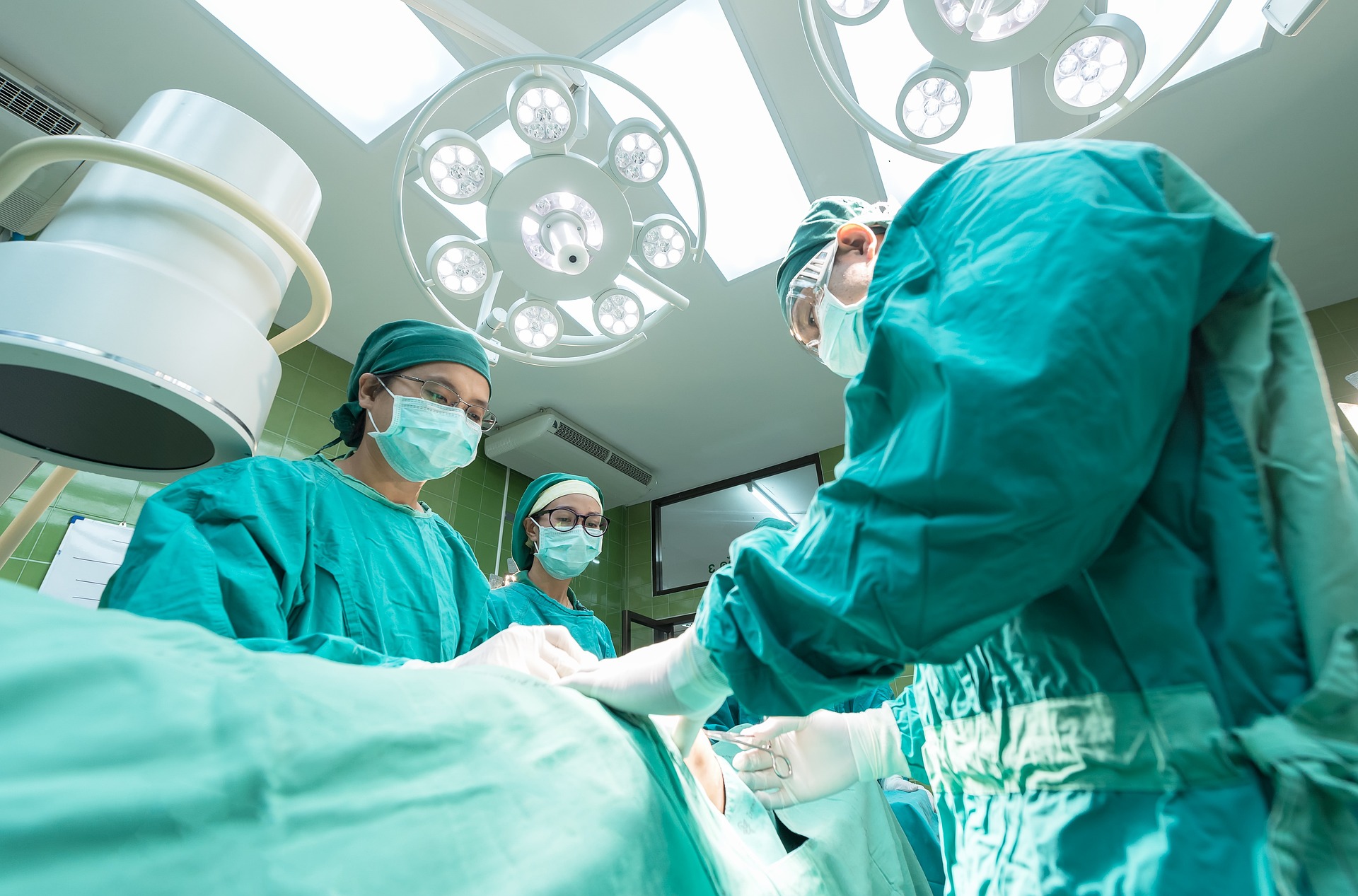 Revolutionary Technology Aims to Preserve Organs for TransplantRestoring cellular function in deceased pigs holds promise
