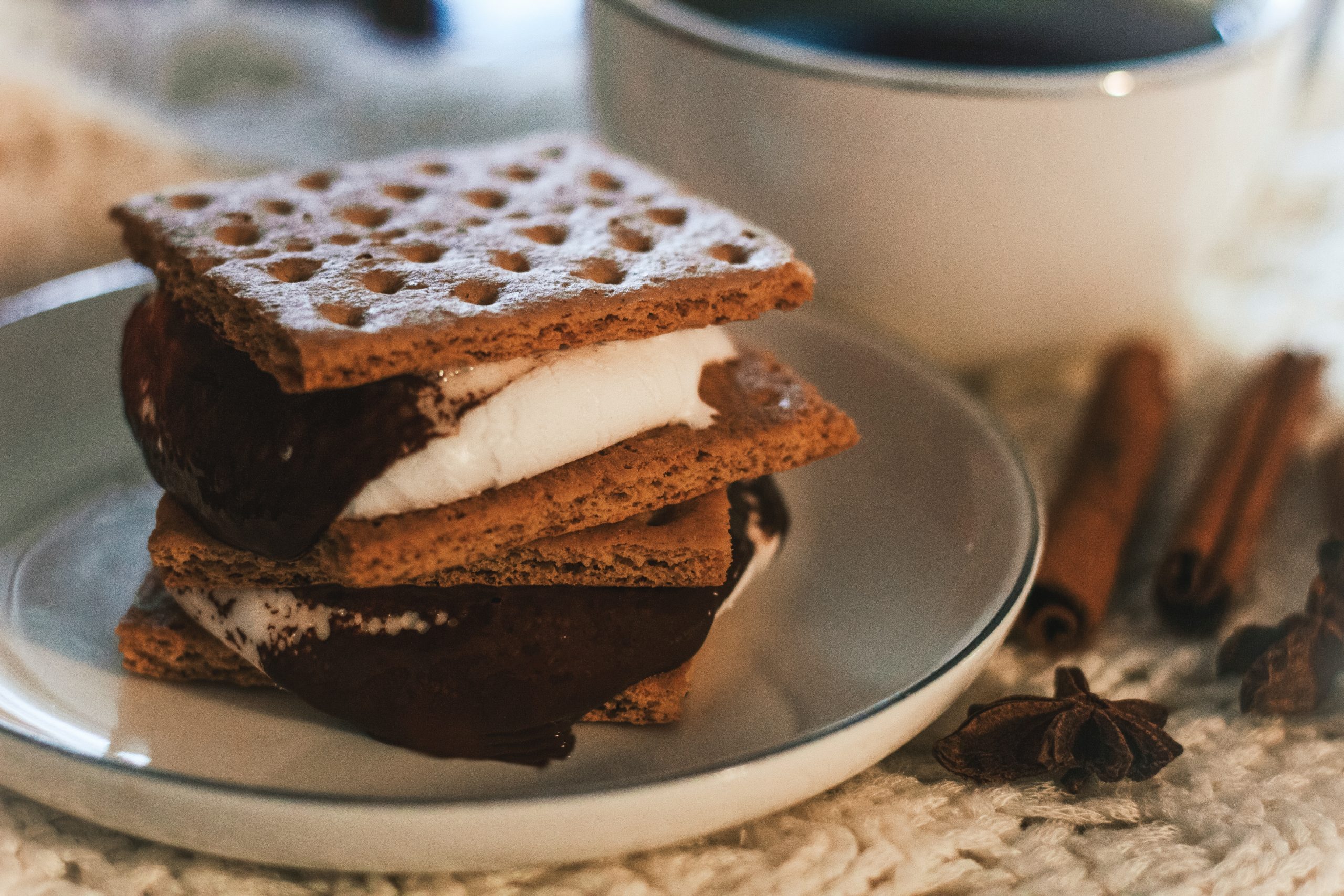 S'mores with gooey marshmallow