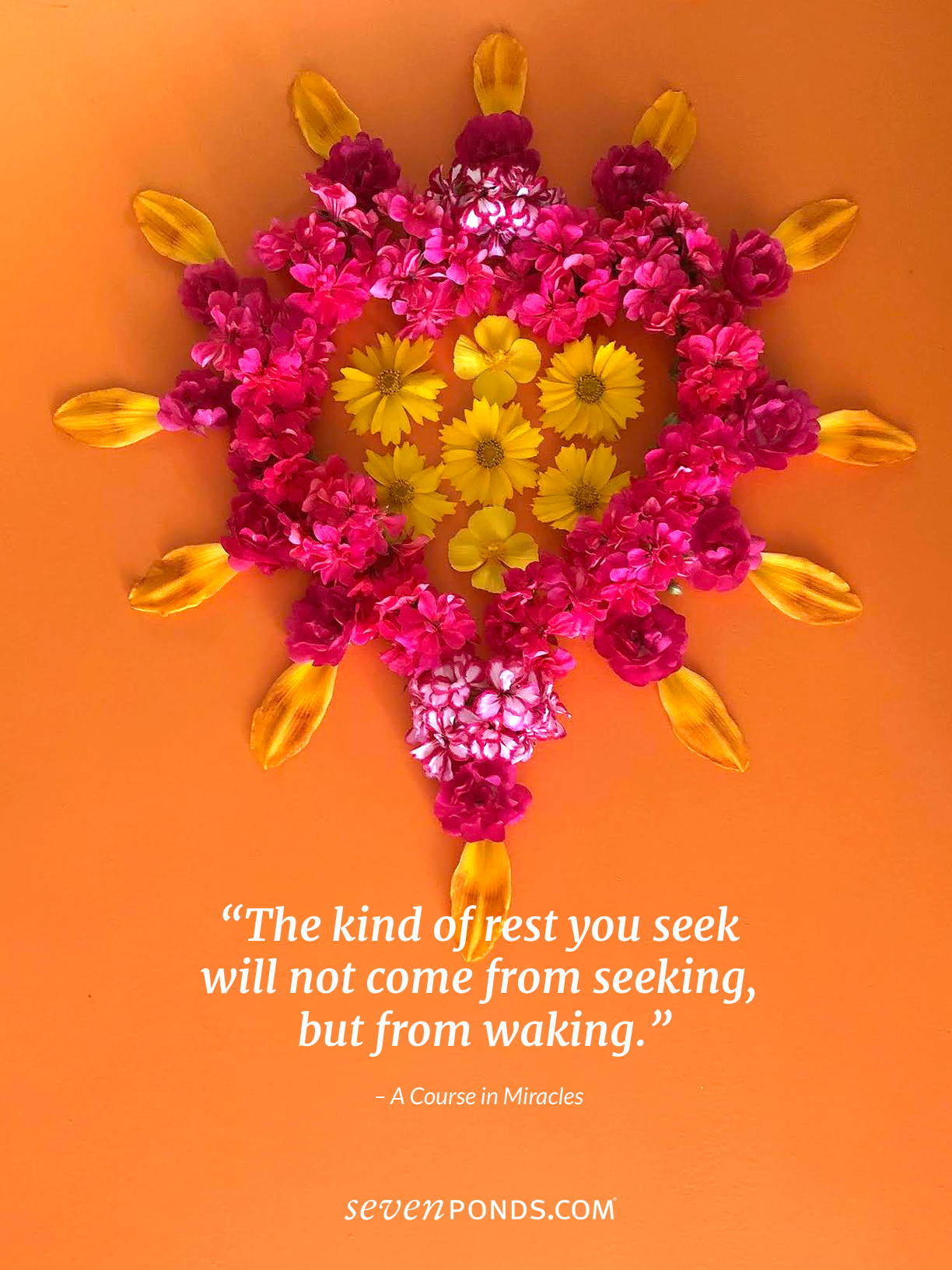 An Inspiring Quote from “A Course in Miracles” About Awakening to LifePlus a beautiful handmade heart made of flowers from SevenPonds
