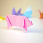 xenotransplantation pig origami