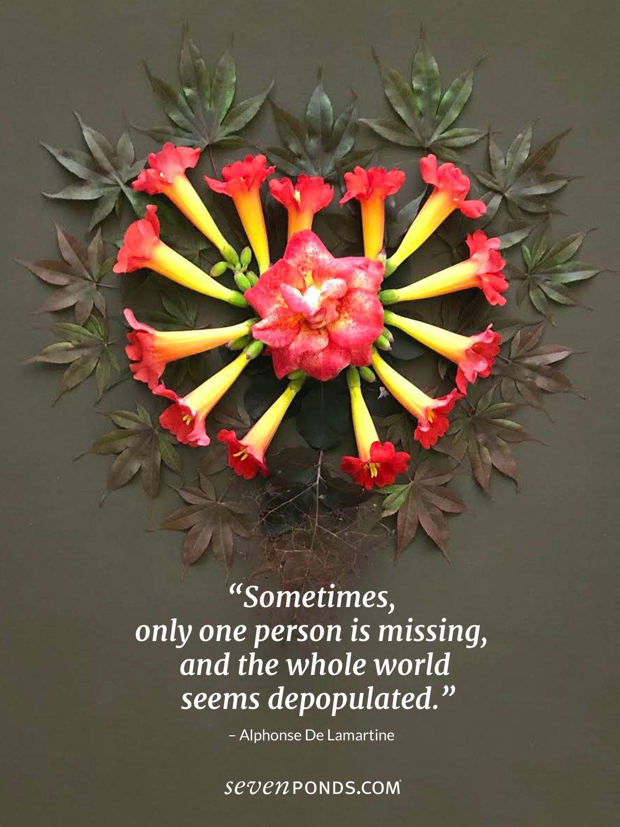 A Moving Quote From Alphonse DeLamartine About Losing the One You LovePlus a beautiful handmade heart made of flowers from SevenPonds