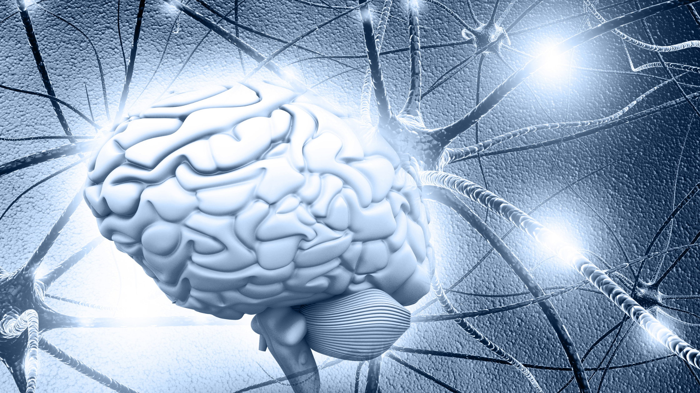A digital graphic of the human brain, as shown from the side in a monochromatic silvery blue. The brain appears to be lit from behind, surrounded by enlarged nerve cells transmitting beams of light
