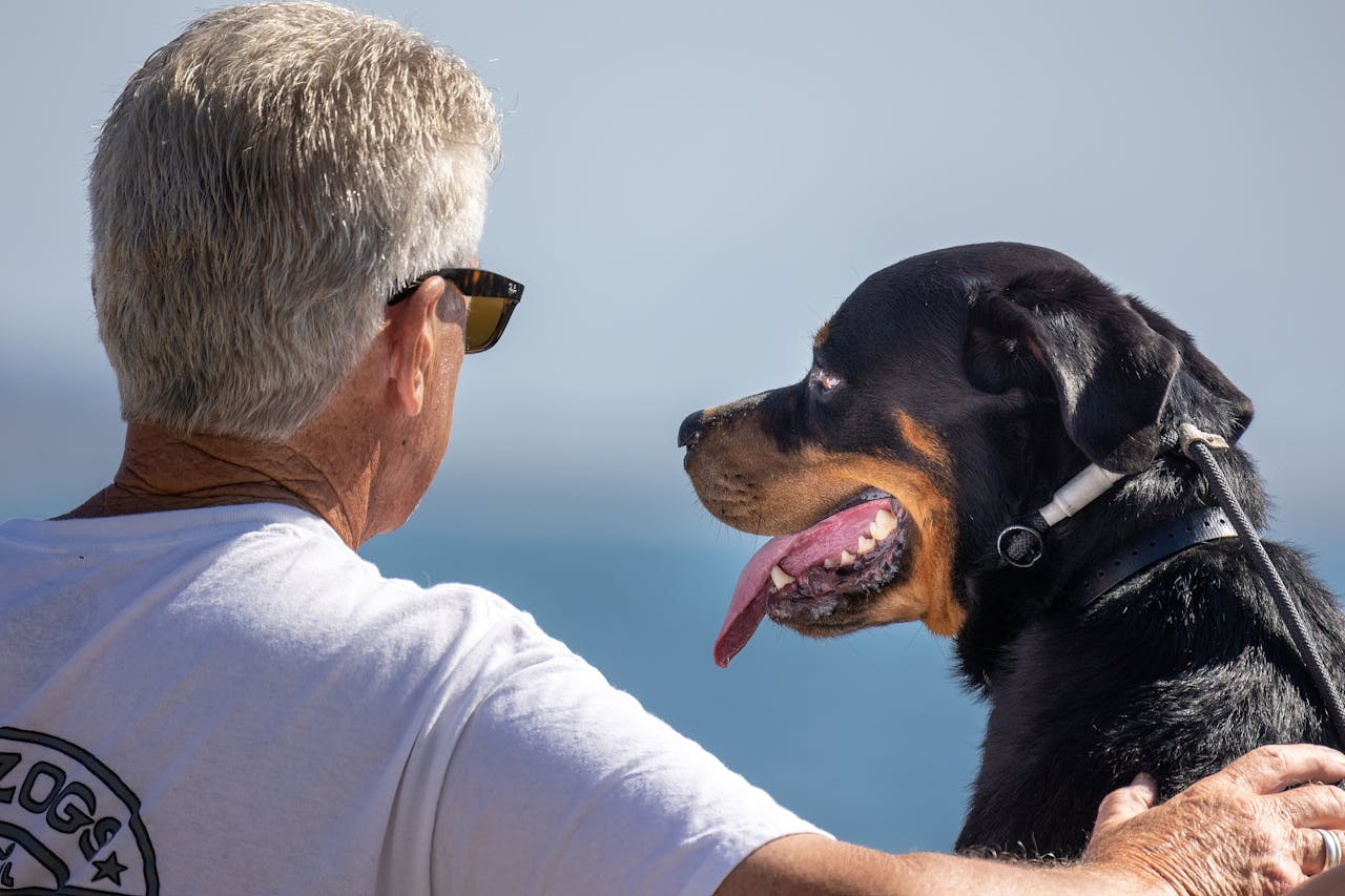 elderly man sits with his dog