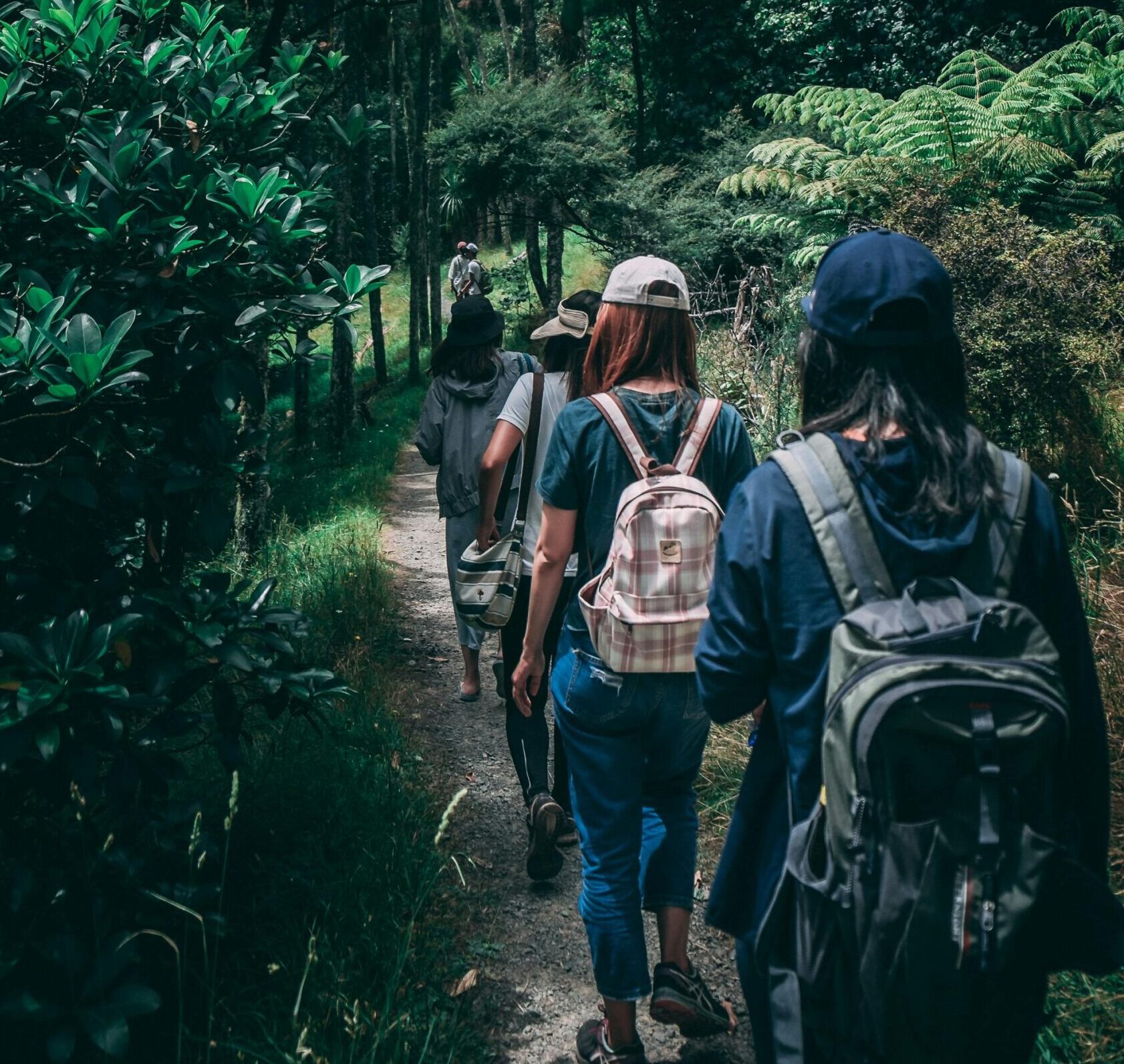 Our Monthly Tip: Host a Memorial HikeHonor a loved one's connection to nature by hiking in their memory
