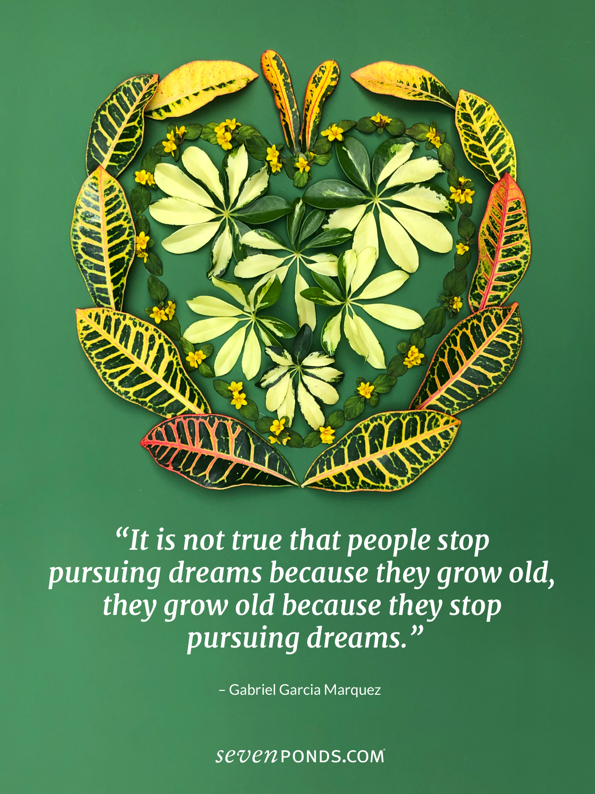 A Moving Quote from Gabriel Garcia Marquez About the Value of Pursuing Our DreamsPlus a lovely heart made of leaves and flowers from SevenPonds