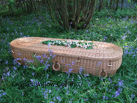 Environmentally friendly coffin sitting on grassy field.