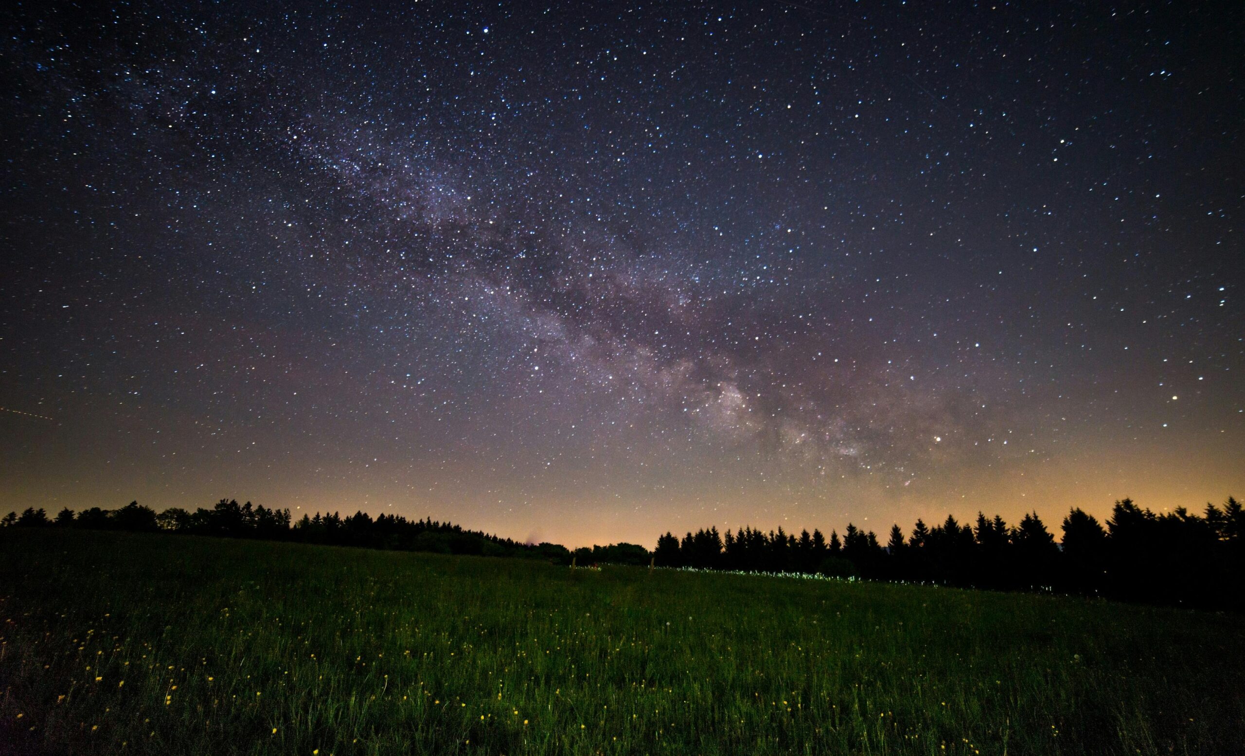 a beautiful night sky pictured above lush green grass and a glowing horizon.