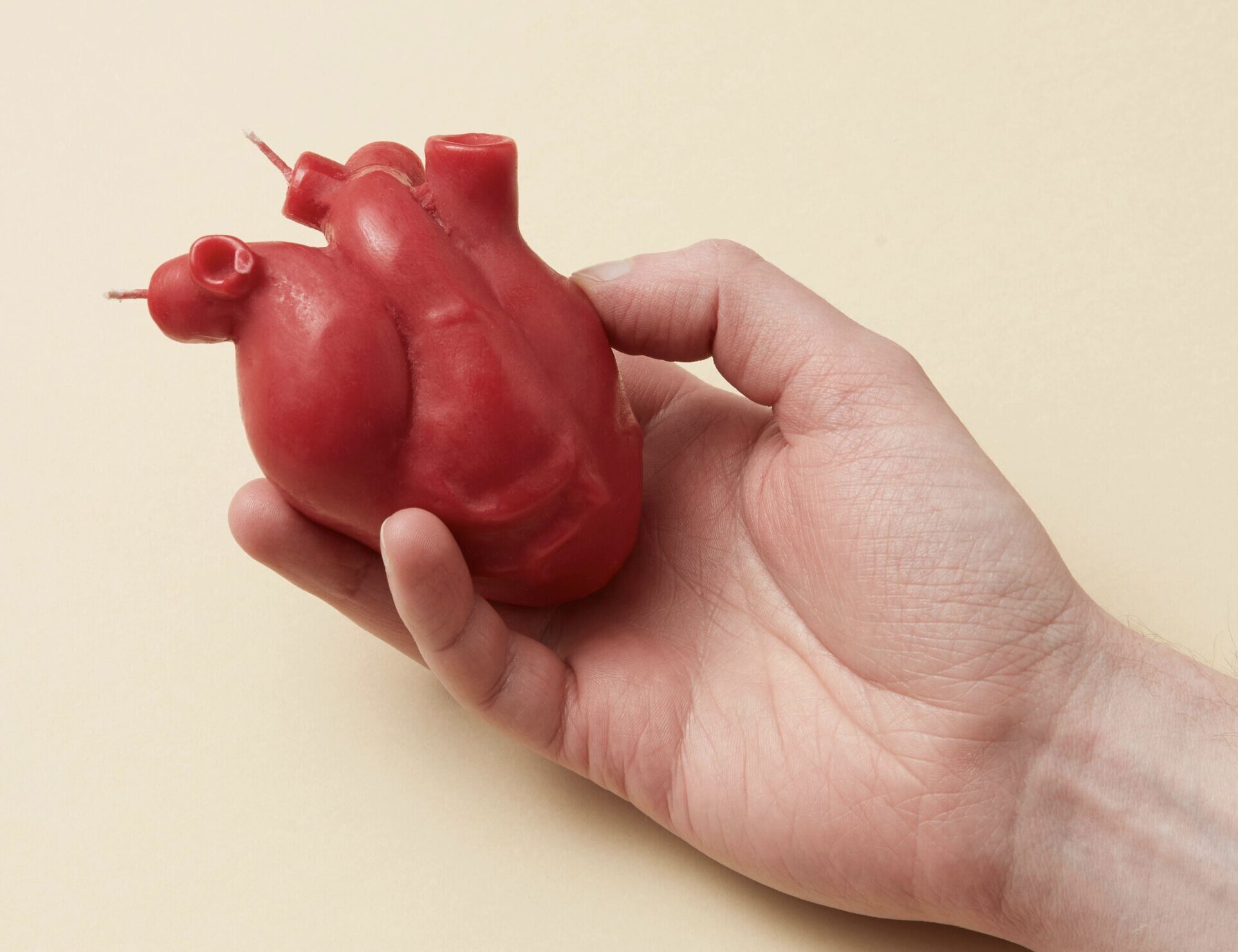 National Donate Life Month Reminds Us To GiveOrgan donors can help provide a form of life after death