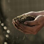 hands holding dirt showing composting bodies