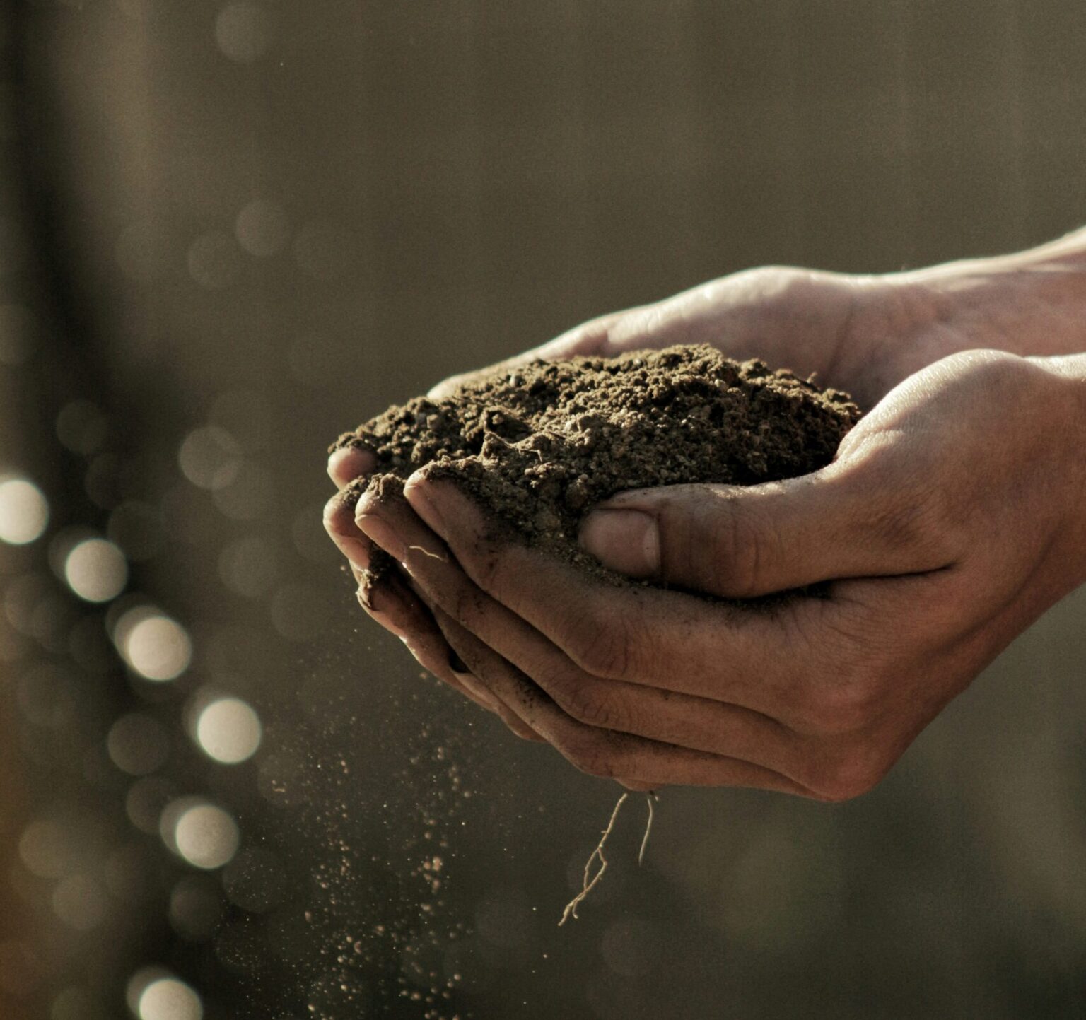 hands holding dirt showing composting bodies