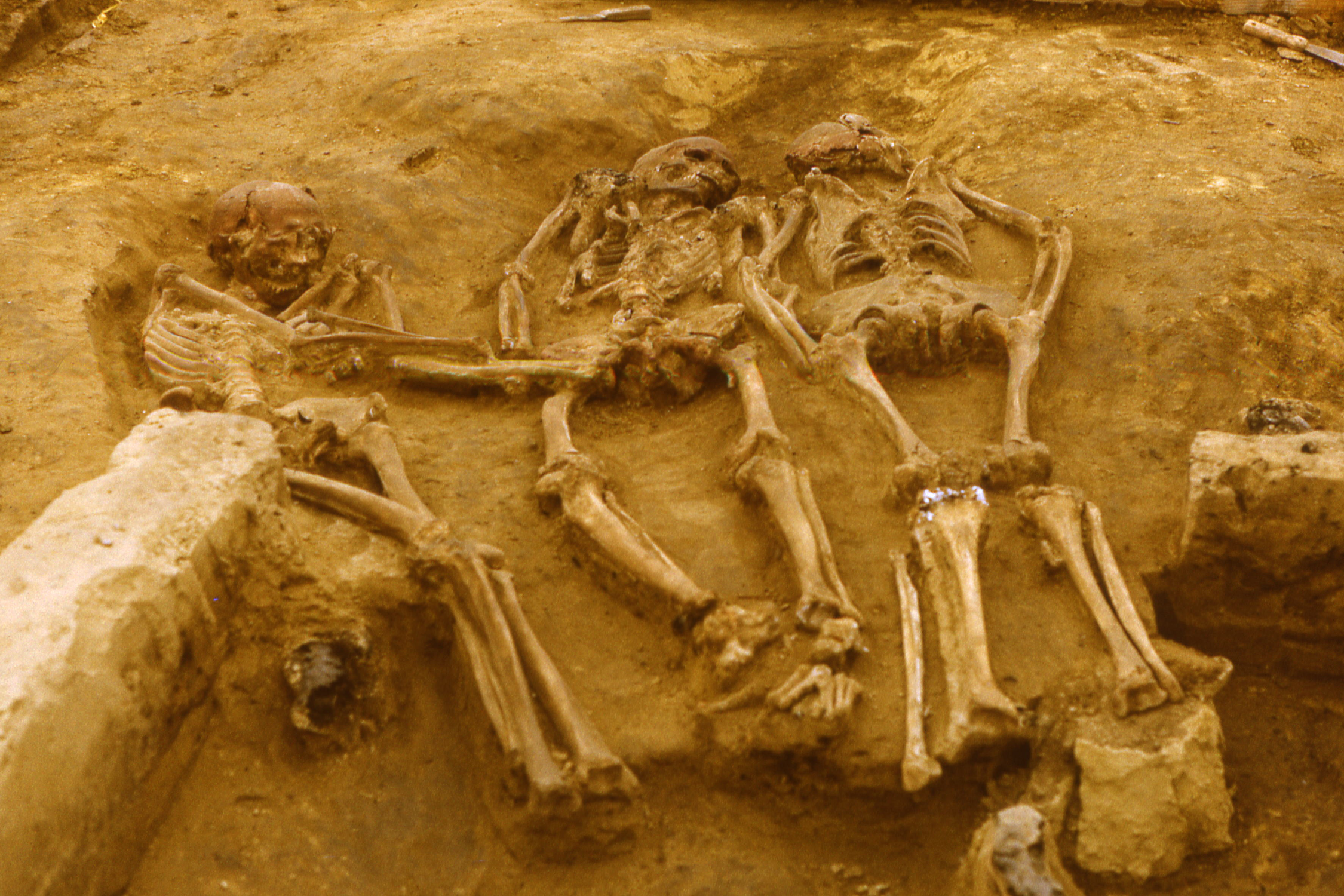Examining the Archaeology of the Undead In an essay, scientist Rebecca Batley explores the ancient roots of fearing the dead