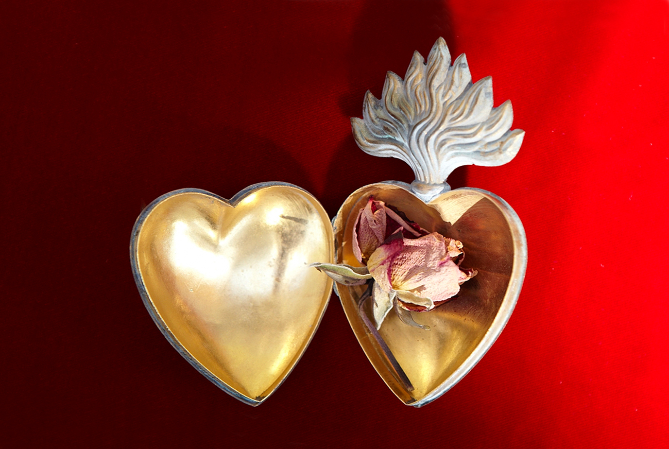 a dried rose in a heart shaped locket symbolizing bioethics