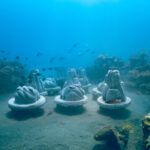 Coral Reef Memorials