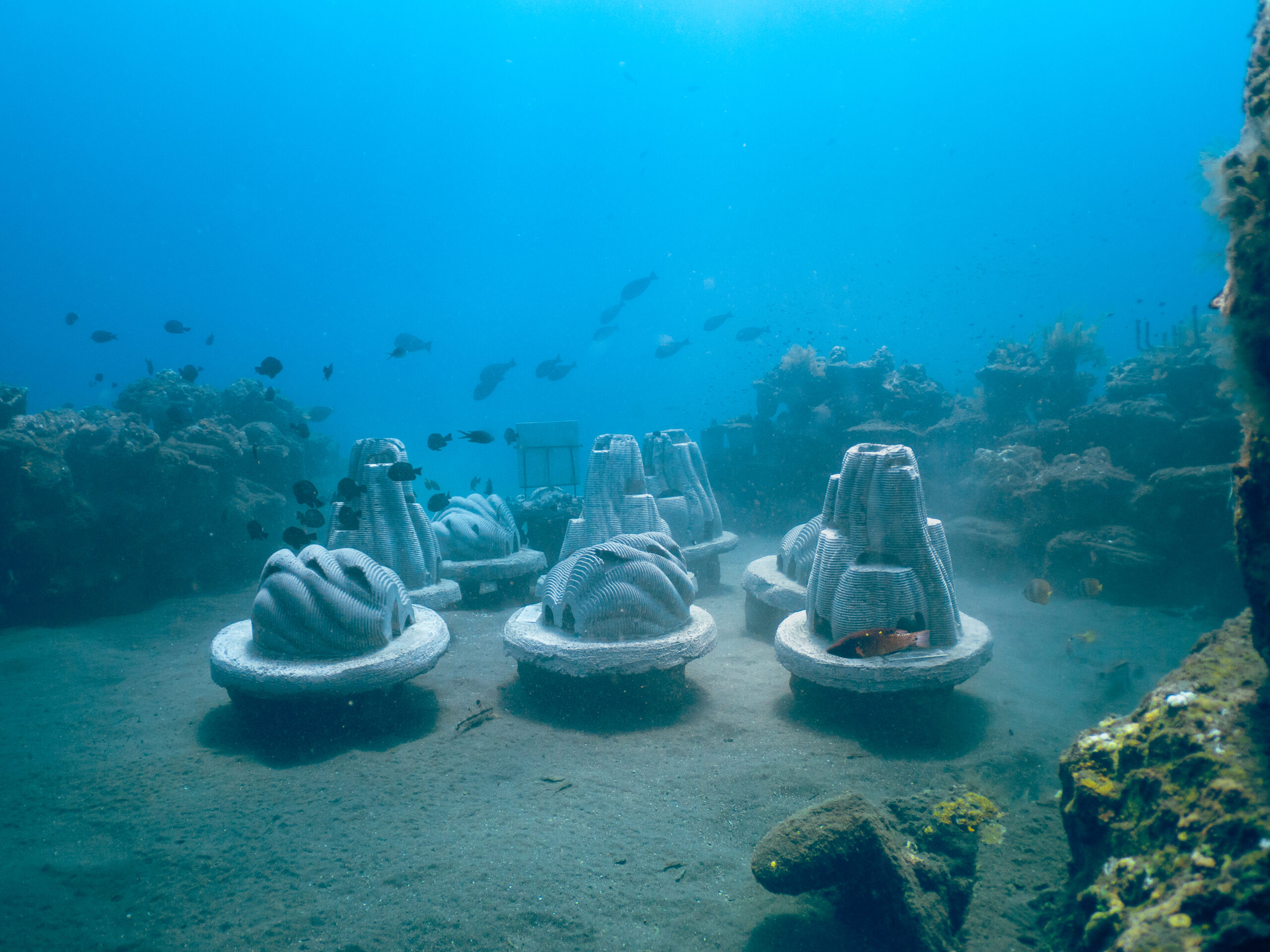 Coral Reef Memorials