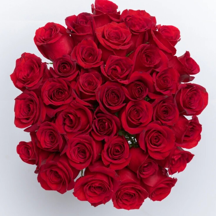 Flower Power for Those in Loss