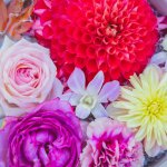 Bright Flowers Floating in a Bowl as an introduction to many ways to incorporate flowers at a celebration of life