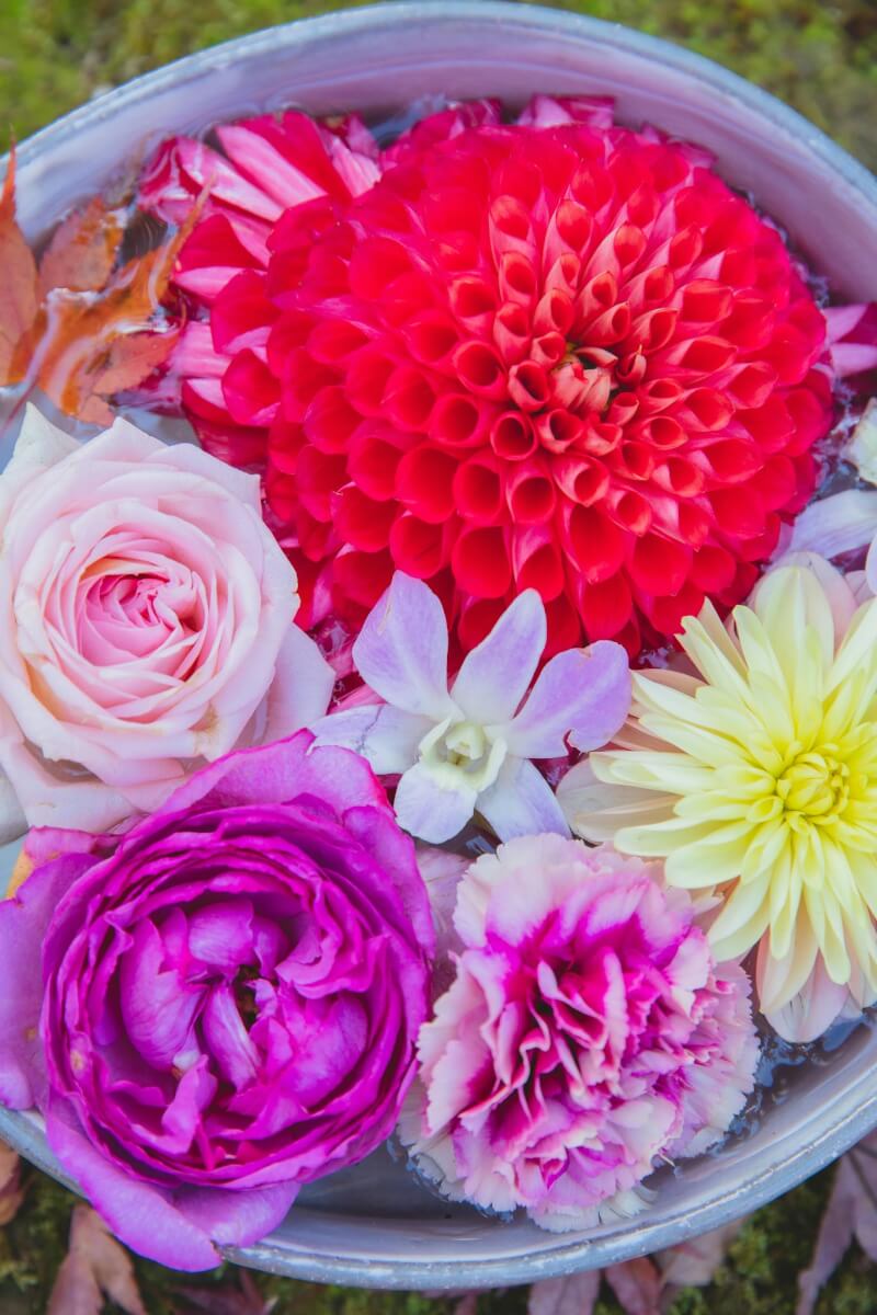 Bright Flowers Floating in a Bowl as an introduction to many ways to incorporate flowers at a celebration of life