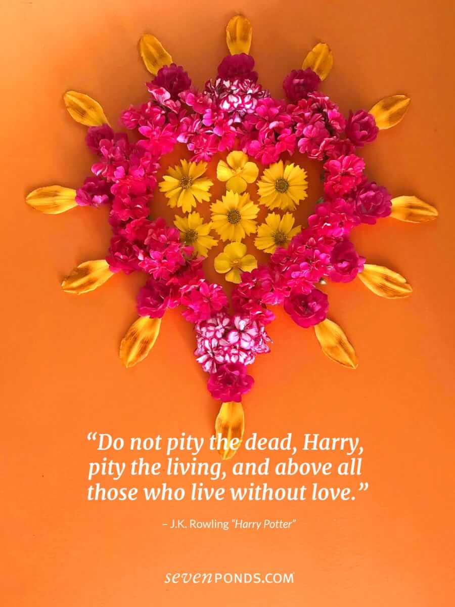 Flower heart with Quote about lessons from literature