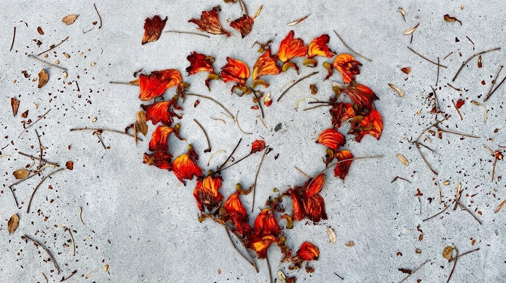 The Hospice Heart Presents: Your End-of-Life Wishes