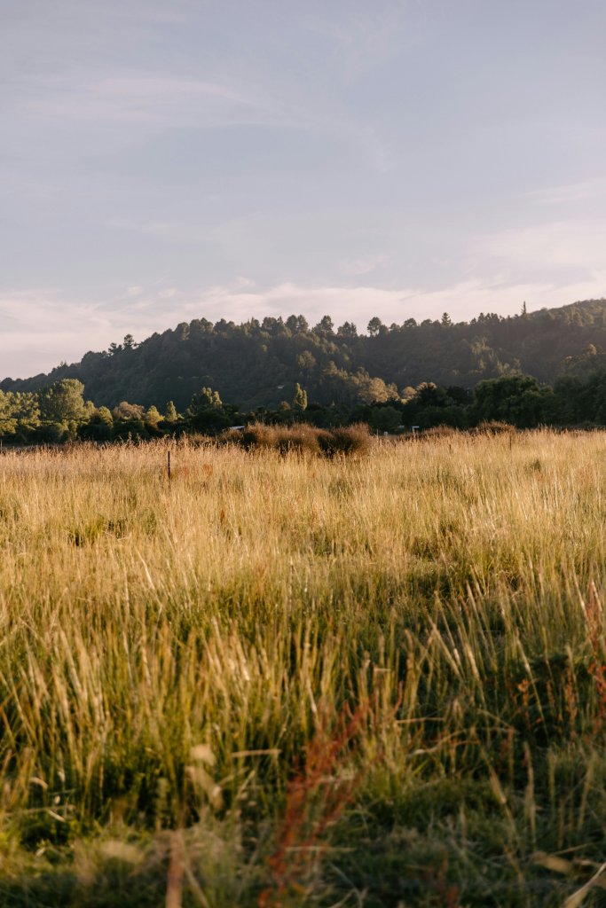 Open meadow and wooded hills creating a peaceful natural setting for an outdoor memorial