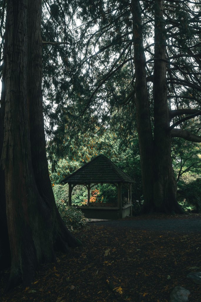 Woodland outdoor memorial venue with a small covered pavilion surrounded by tall trees