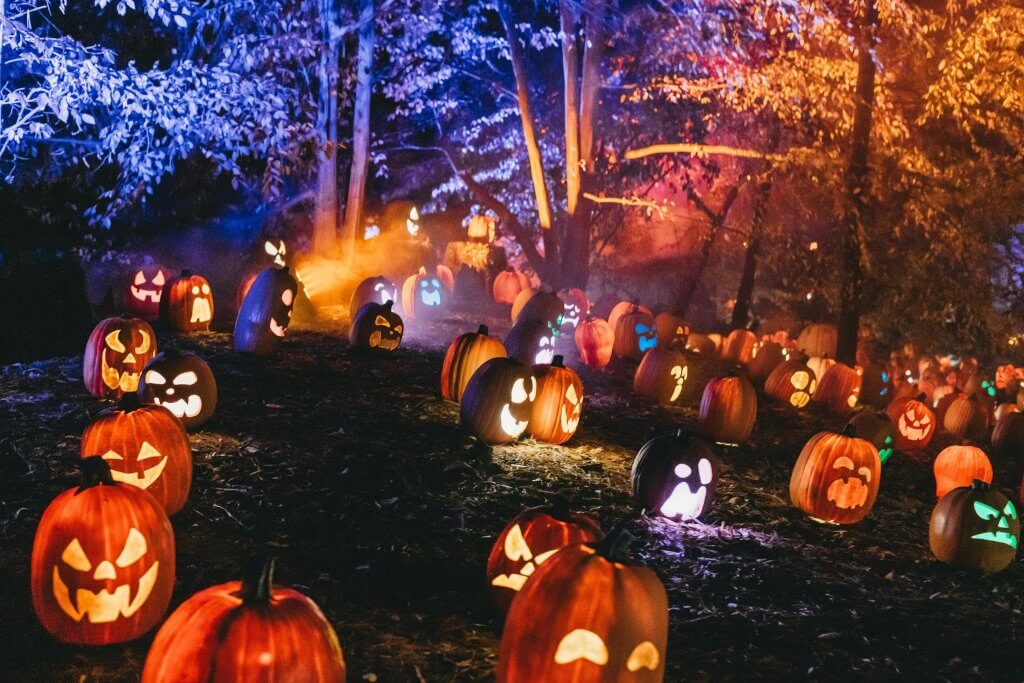 Halloween pumpkins with glowing jack-o’-lanterns arranged for a Halloween-themed celebration of life for a teen