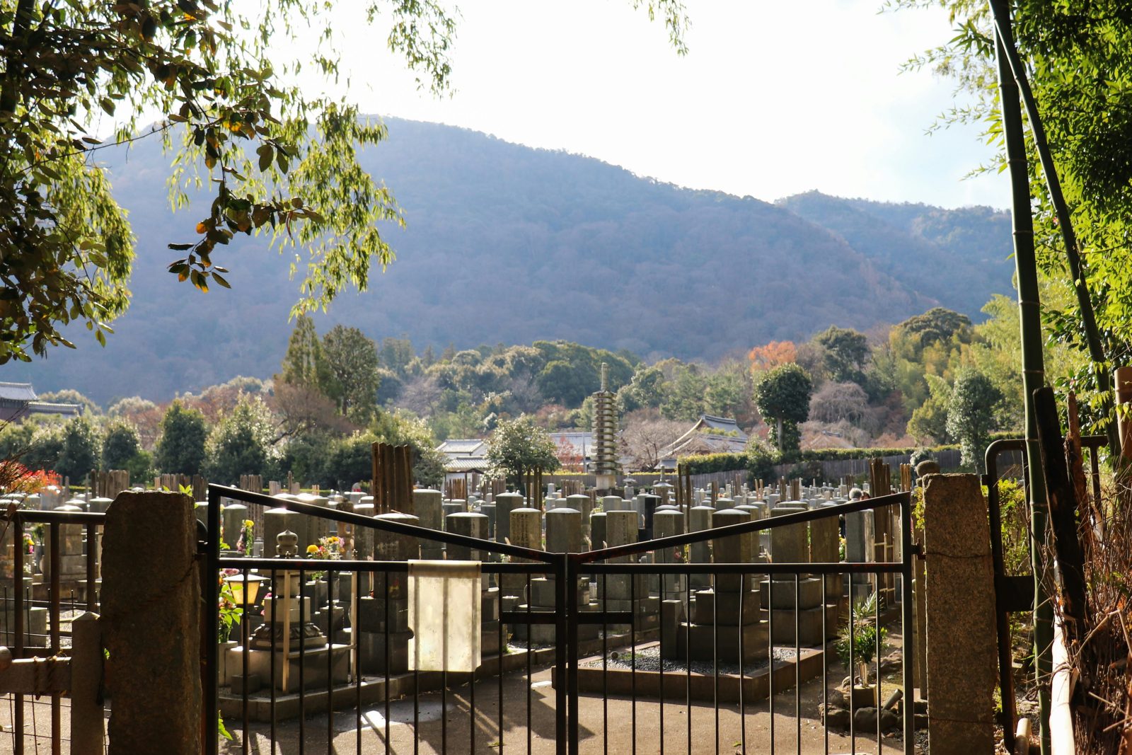 Japanese cemetery with rows of stone grave markers seen through an iron gate, with a forested mountain in the background